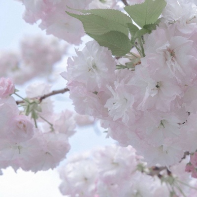 兽设原创改稿实用思路兽圈社群